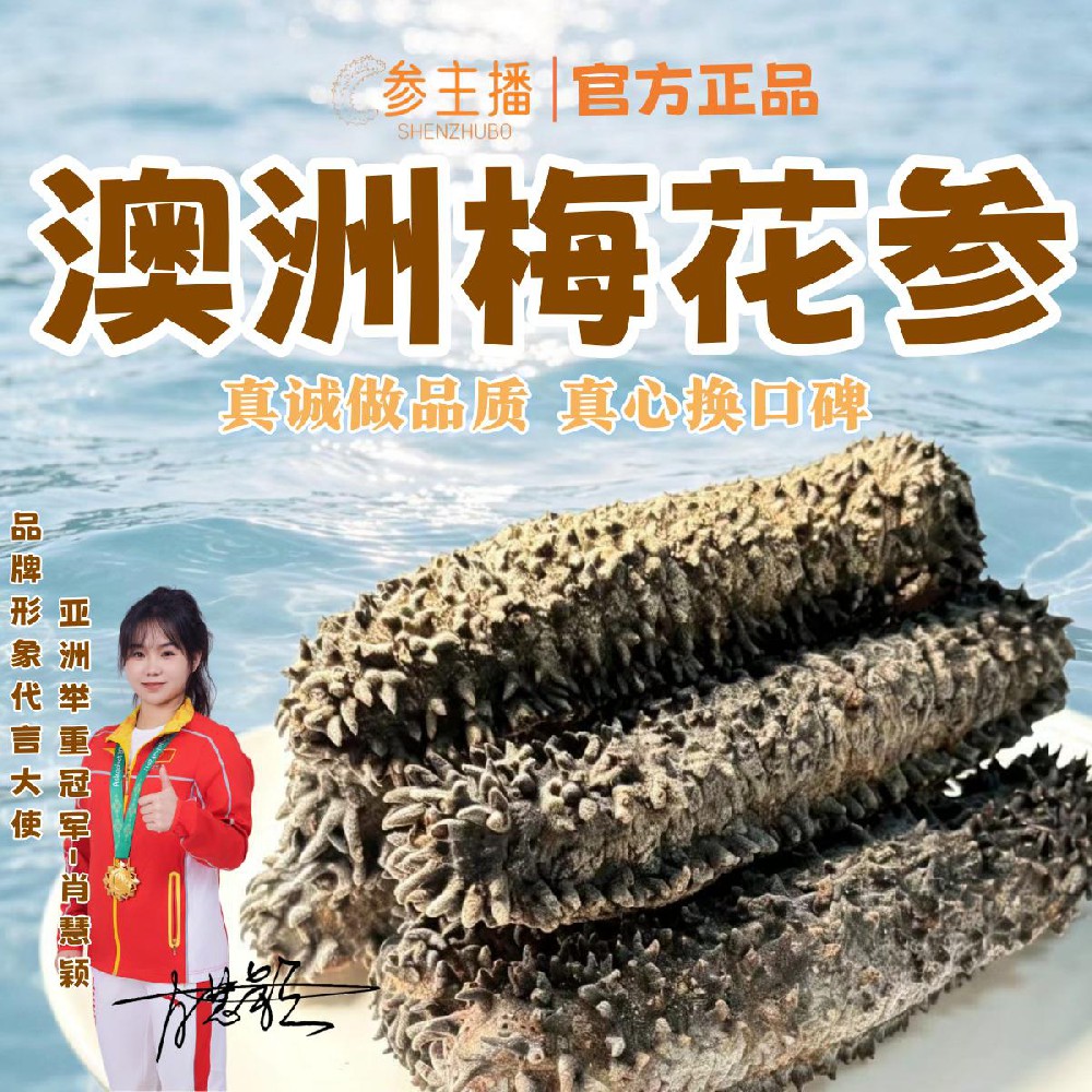 梅花参