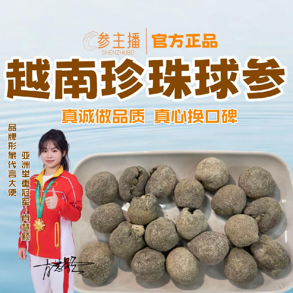 珍珠球参