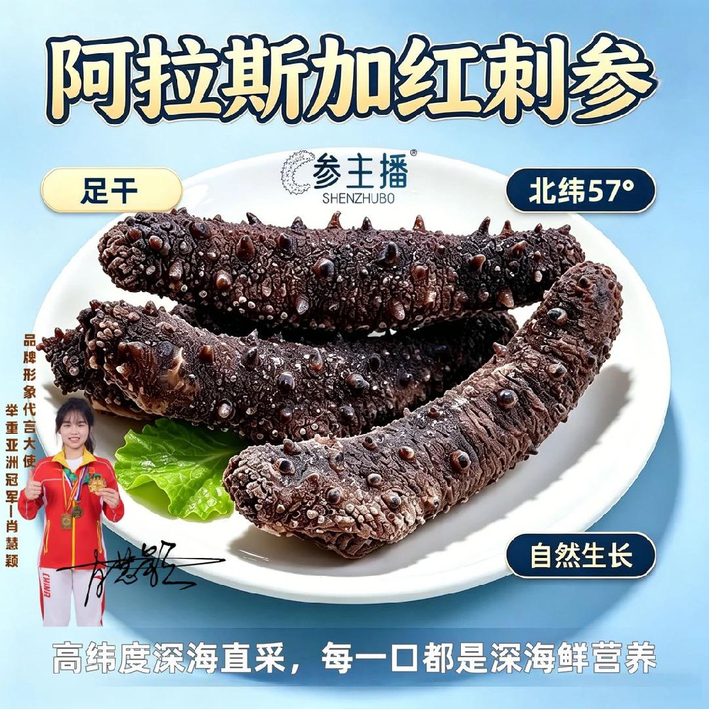 阿拉斯加红刺参