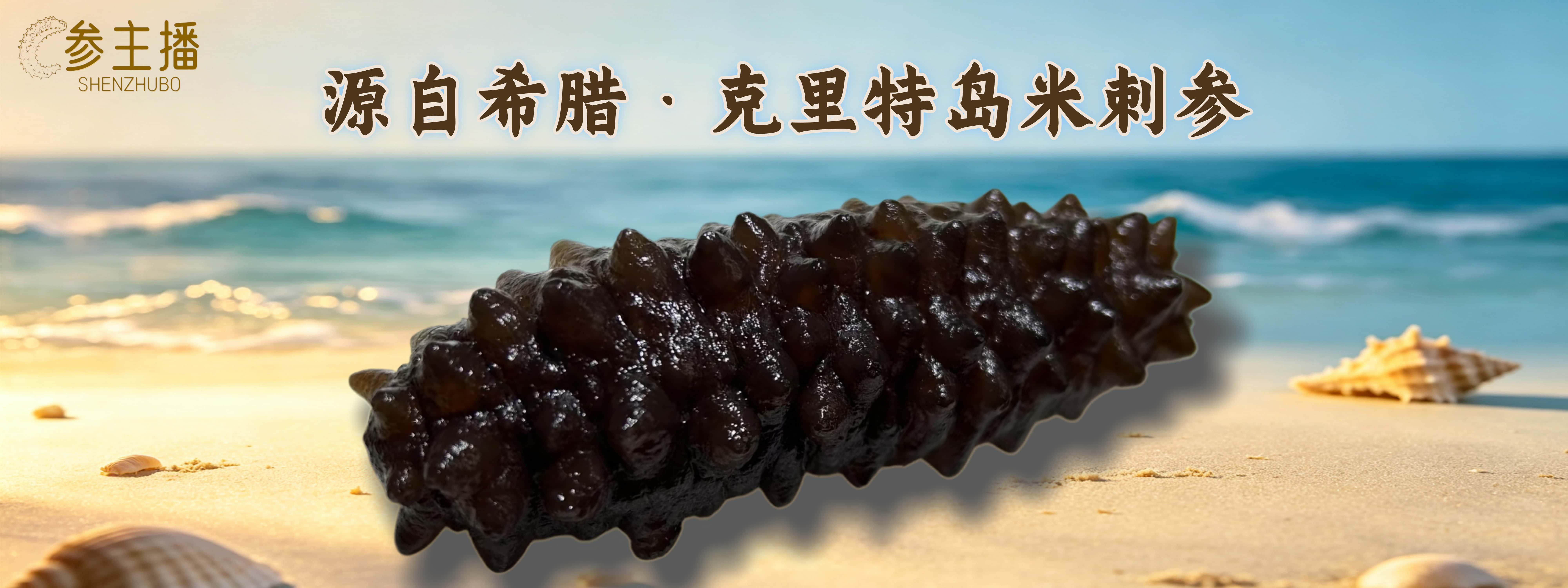 品牌理念